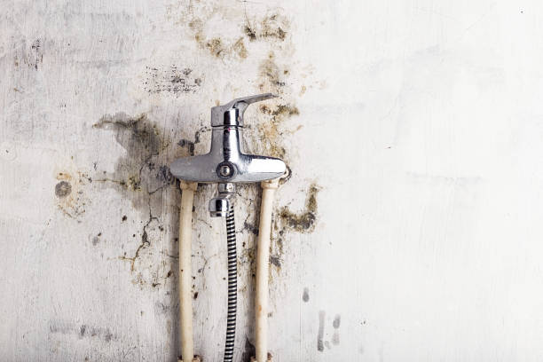Best Mold Cleaning Services  in Merlin, OR