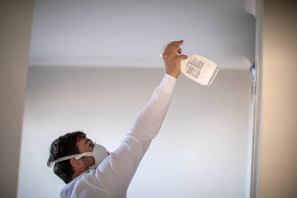 Best Fast Mold Removal  in Merlin, OR