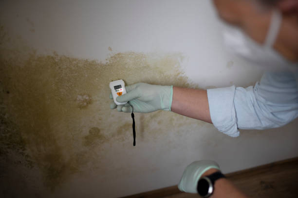 Best Certified Mold Removal  in Merlin, OR